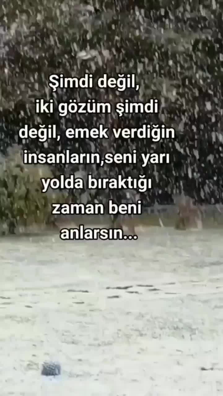 @Fatma Gülecin