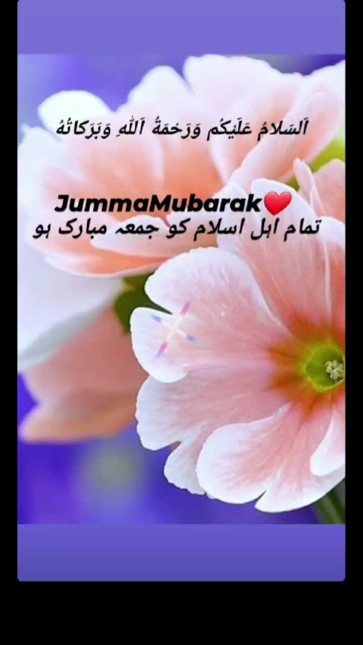@Mohd Jaseem Raza Ans