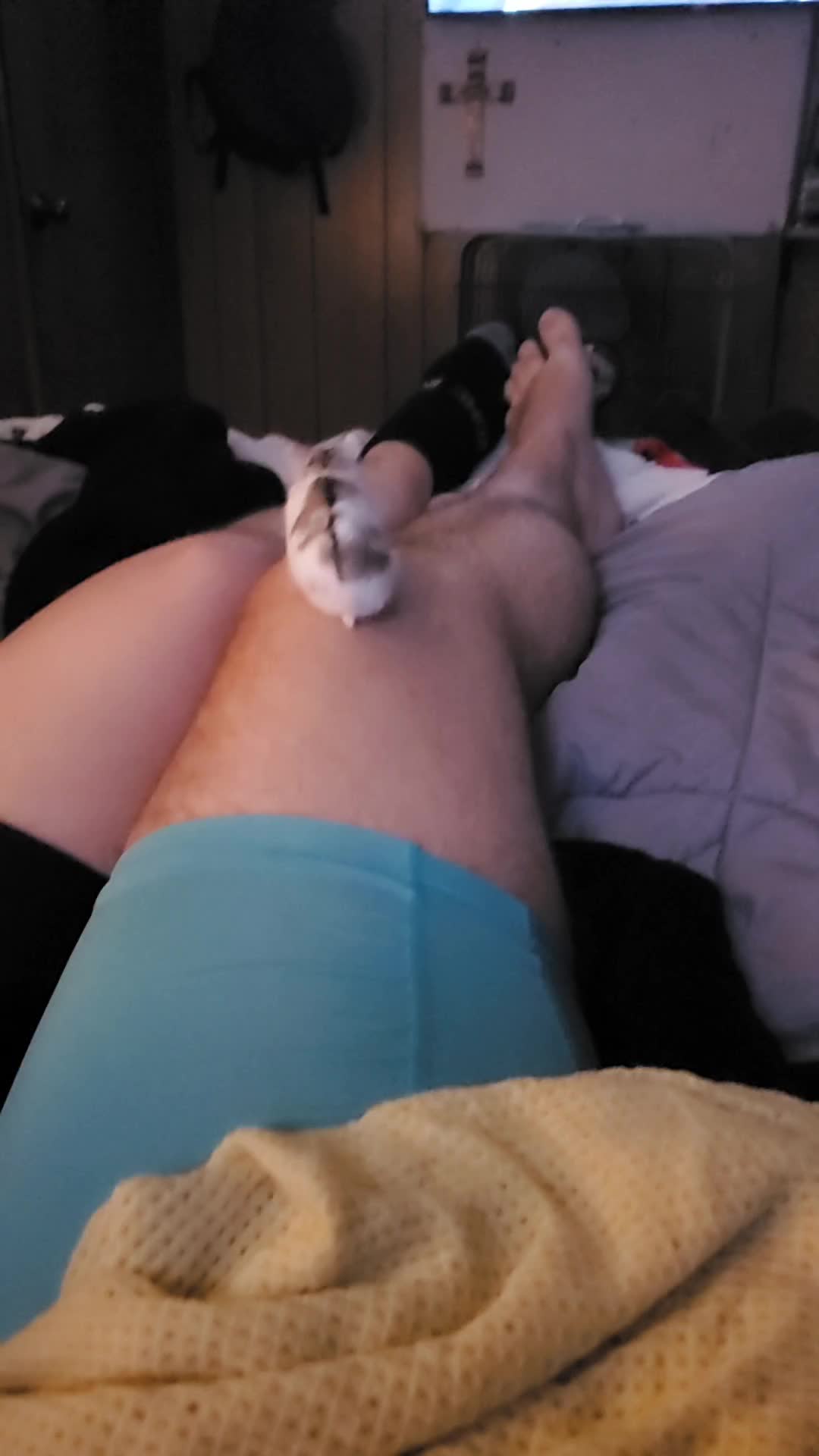 @CamCam