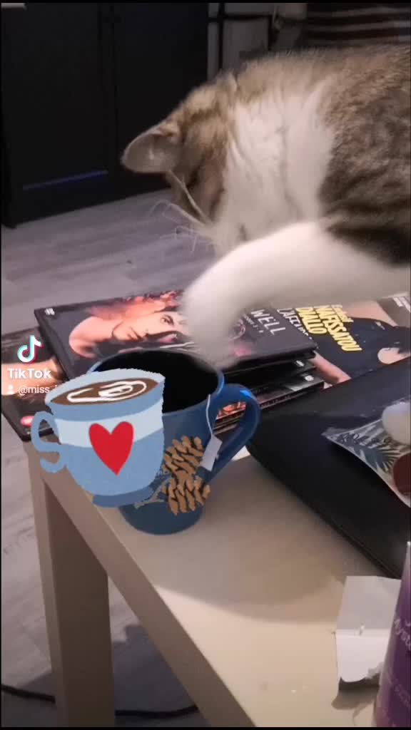 @Pêche 😺