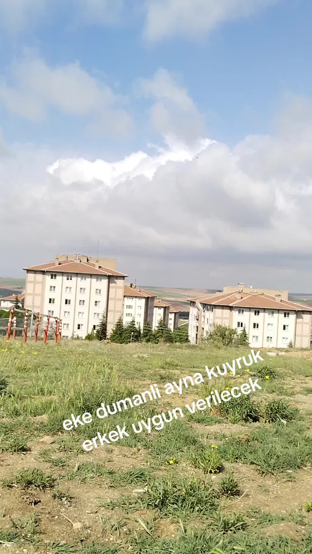 @🎲🎲oyunkusu.kirsehir40🎲🎲