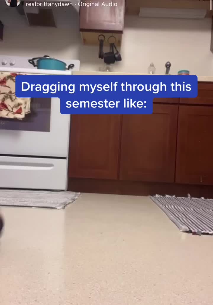 @Maddawgpalmtree
