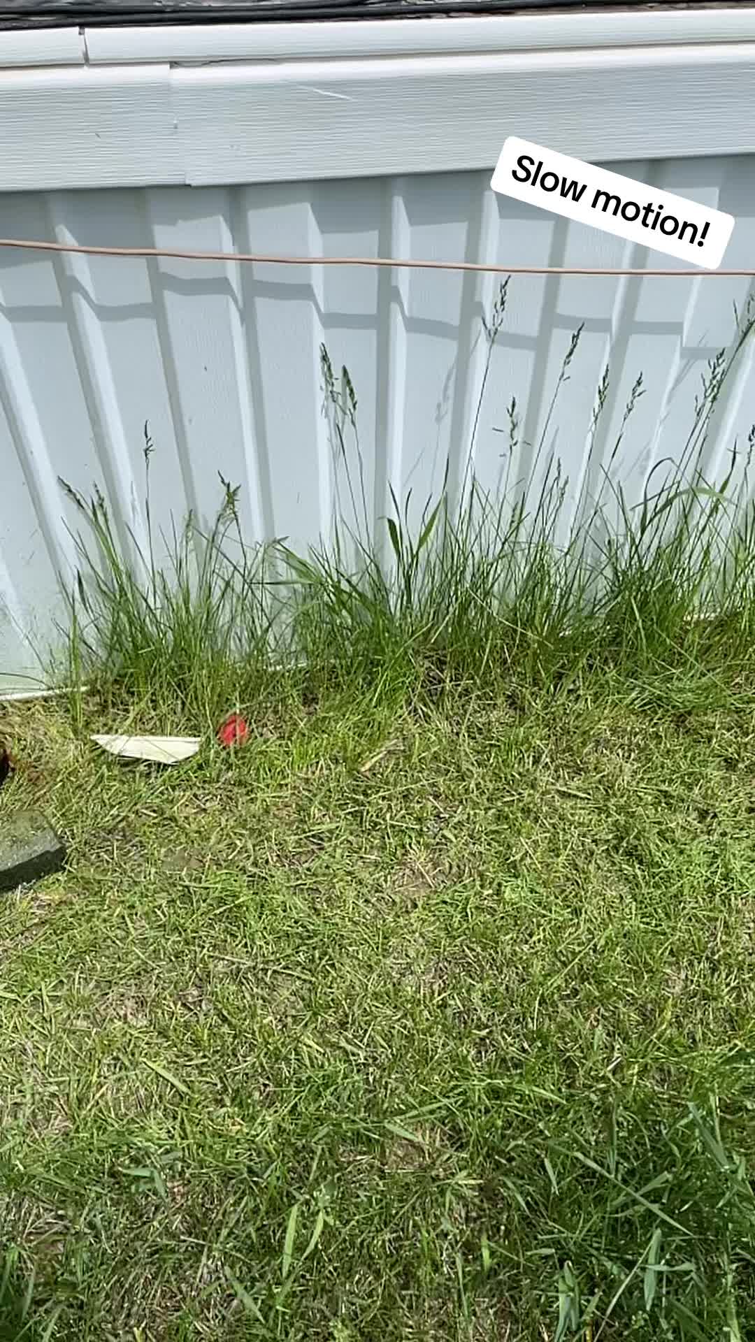 @EzDayzLawnCare