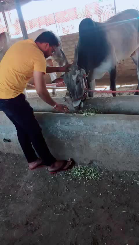 @Ganesh Godse