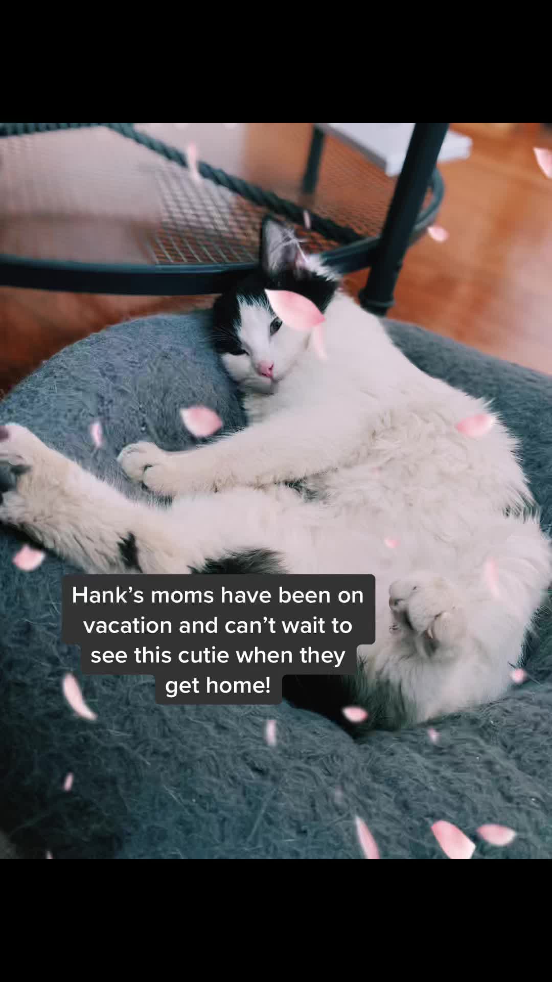 @Tilted_Hank