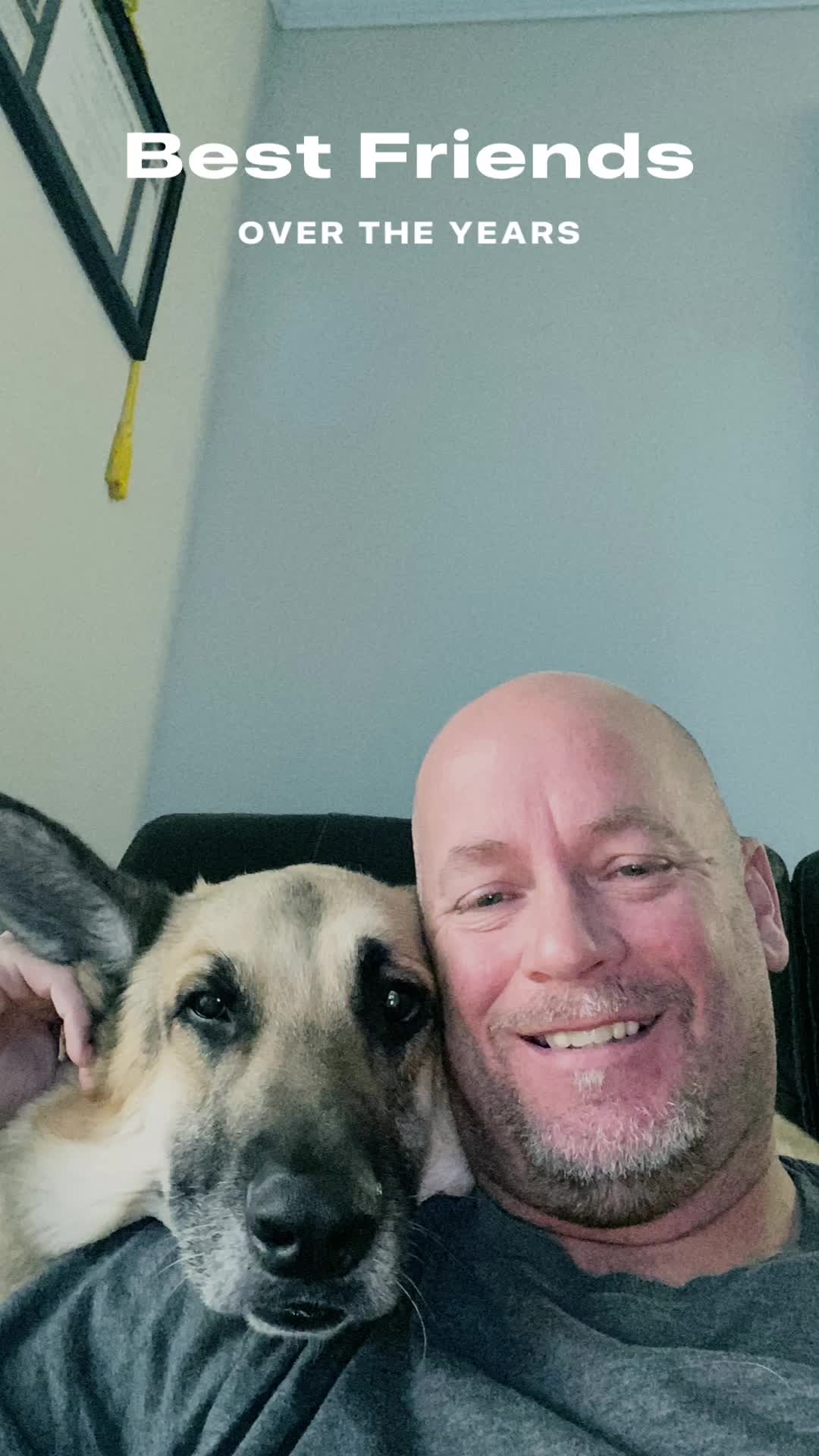 @GSD dog owner!!!
