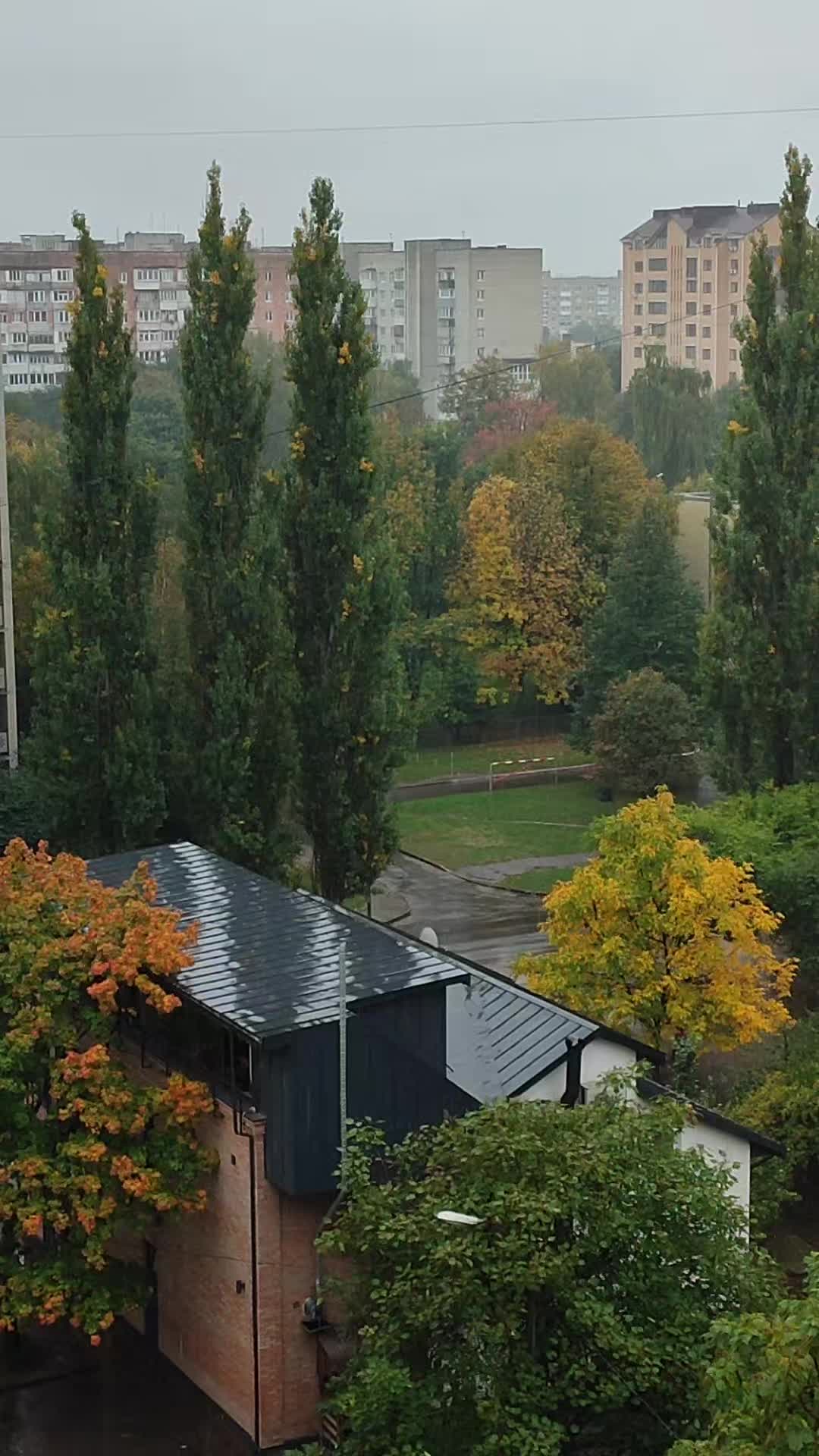 @Оксана Семак