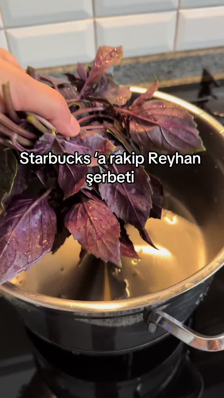 @ℋ𝒜𝒩𝒟𝒜𝒩