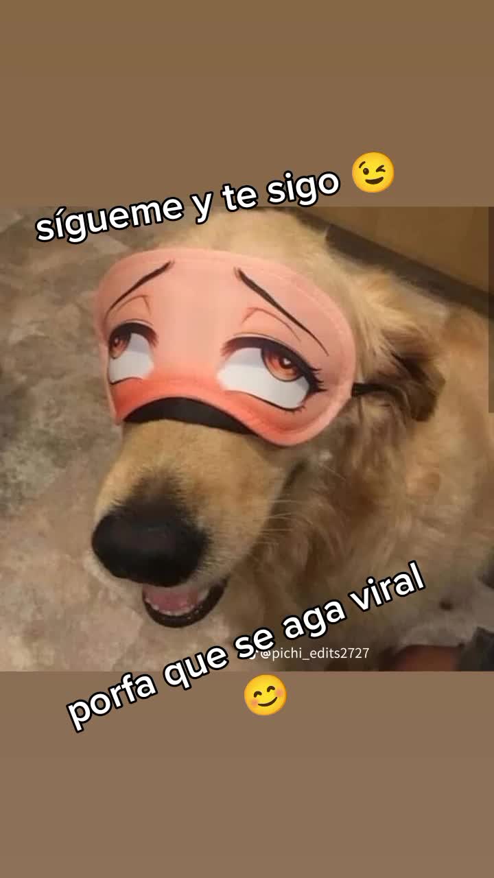 @Sígueme y te sigo