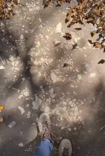 @🔥Jio_APARNA_09🔥