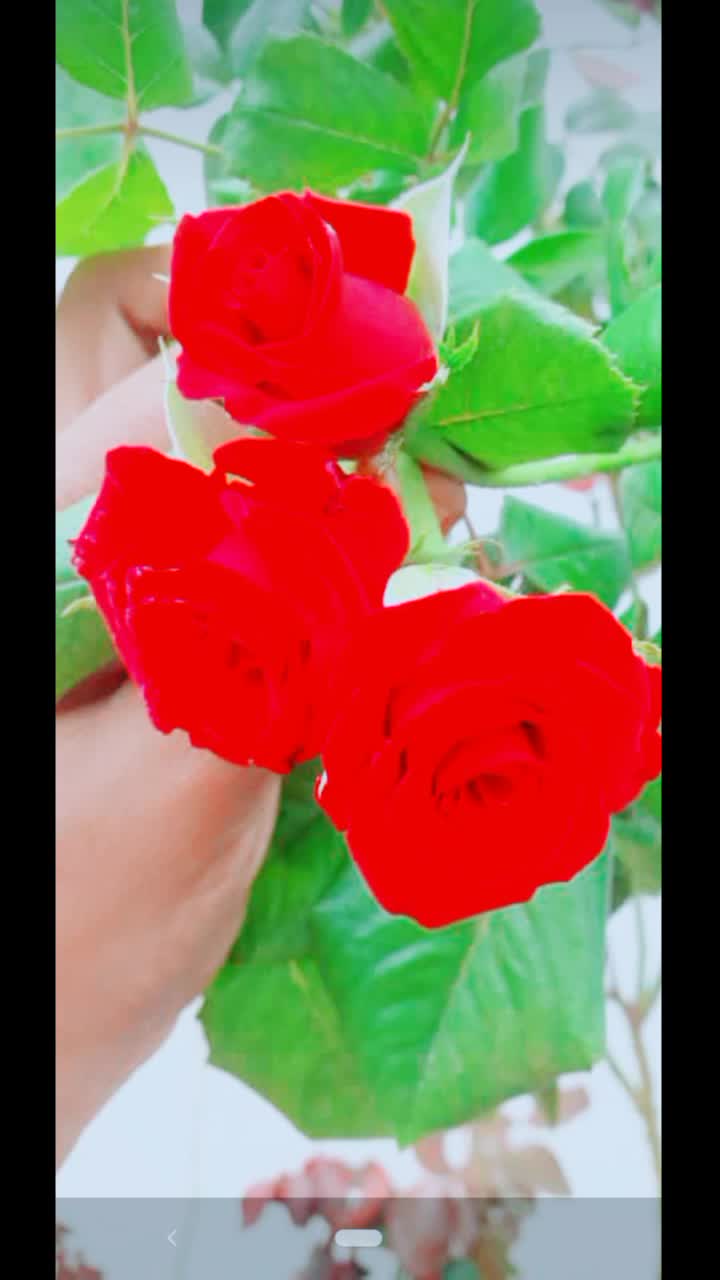 @user4830084855422