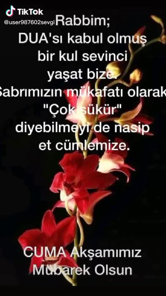@sevgi