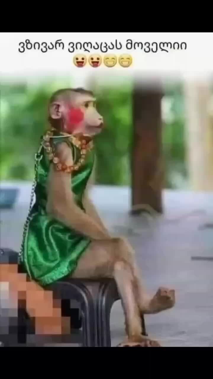 @damireke2