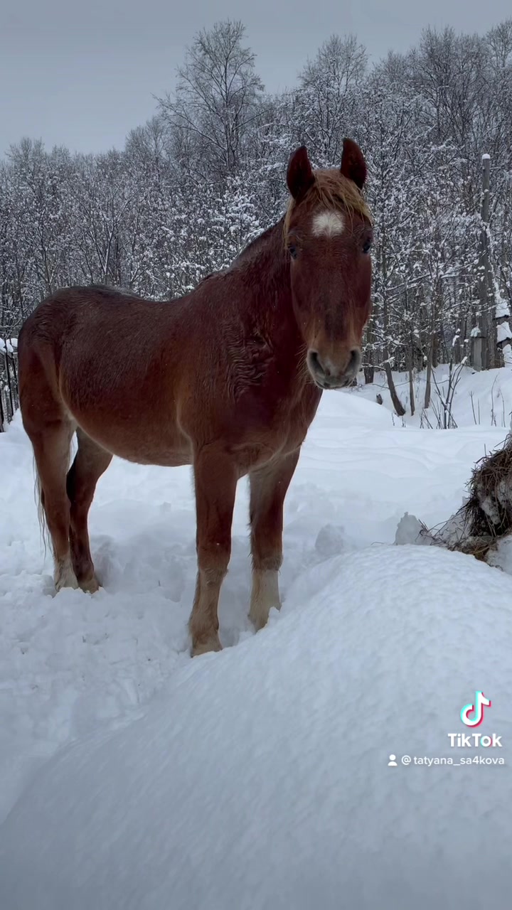 @Татьяна Сачкова212