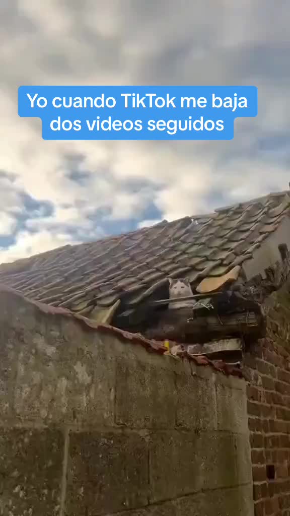 @Lady Kikemon