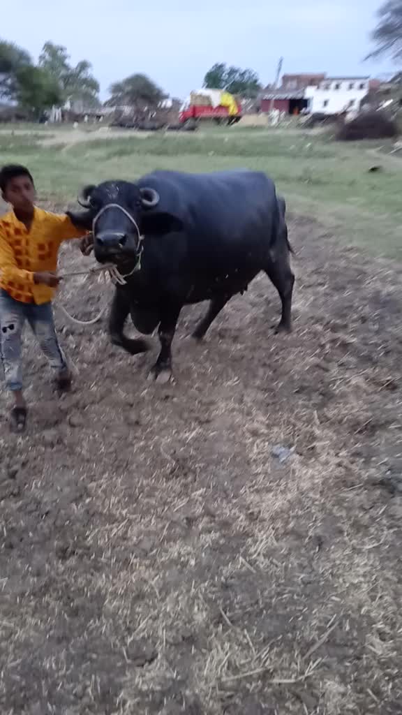 @Arbaaz_patel_143