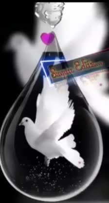 @sushilak