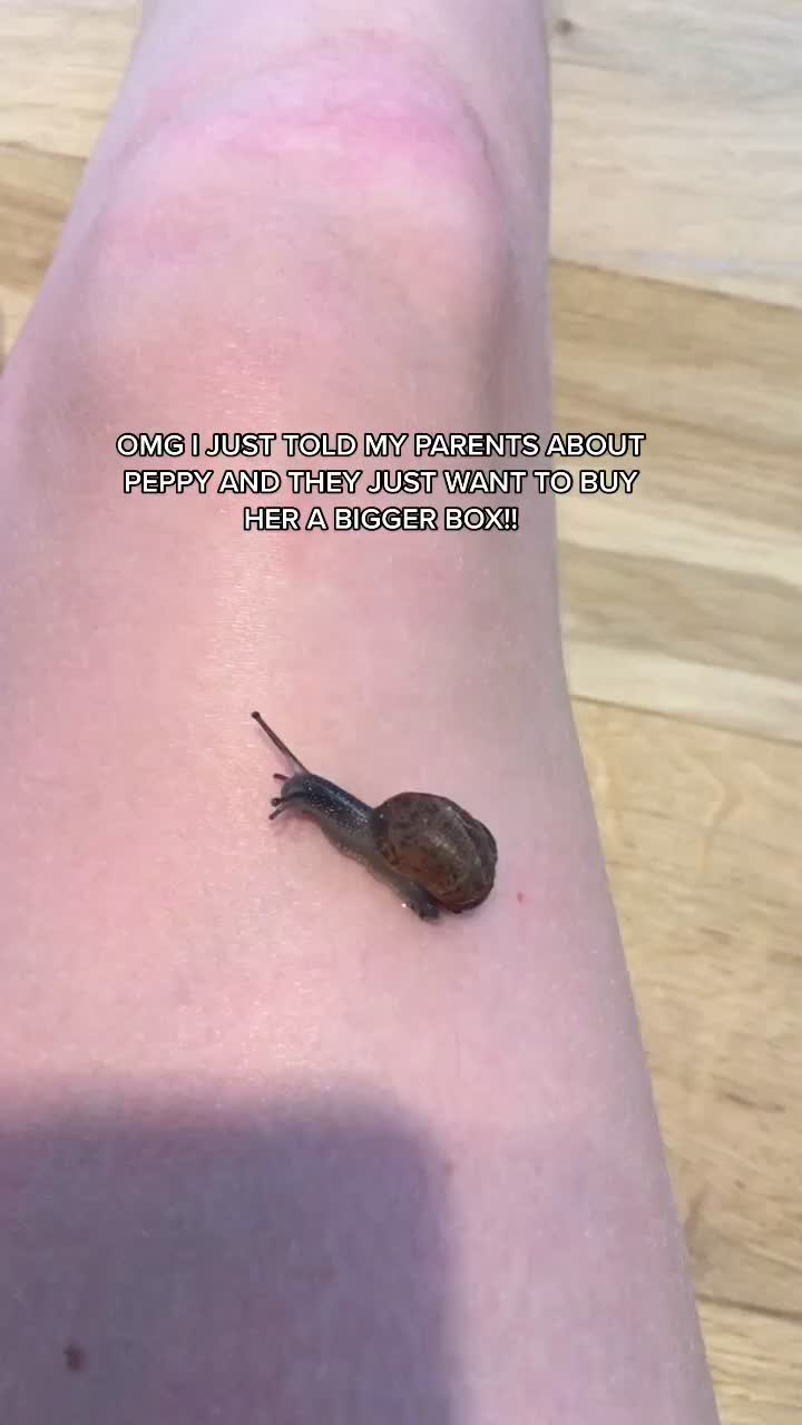 @Peppy the snail <3