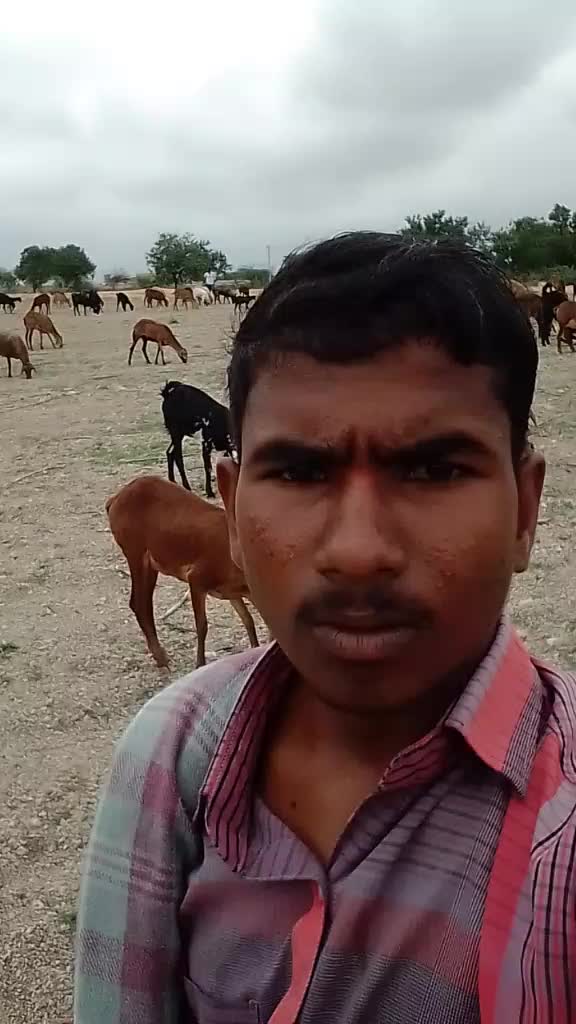 @Kanchappa Kencha