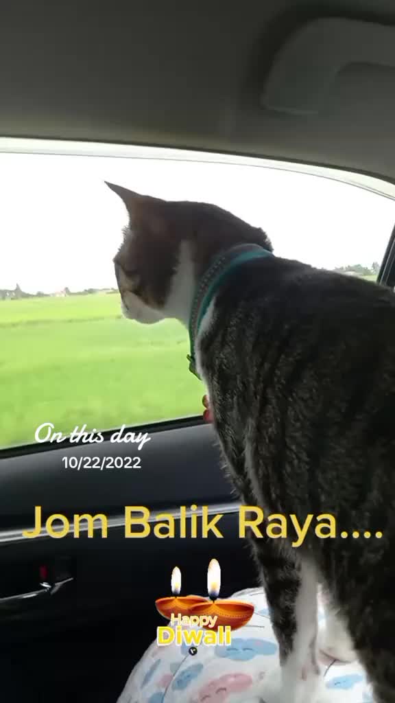 @Nama Saya Bobby