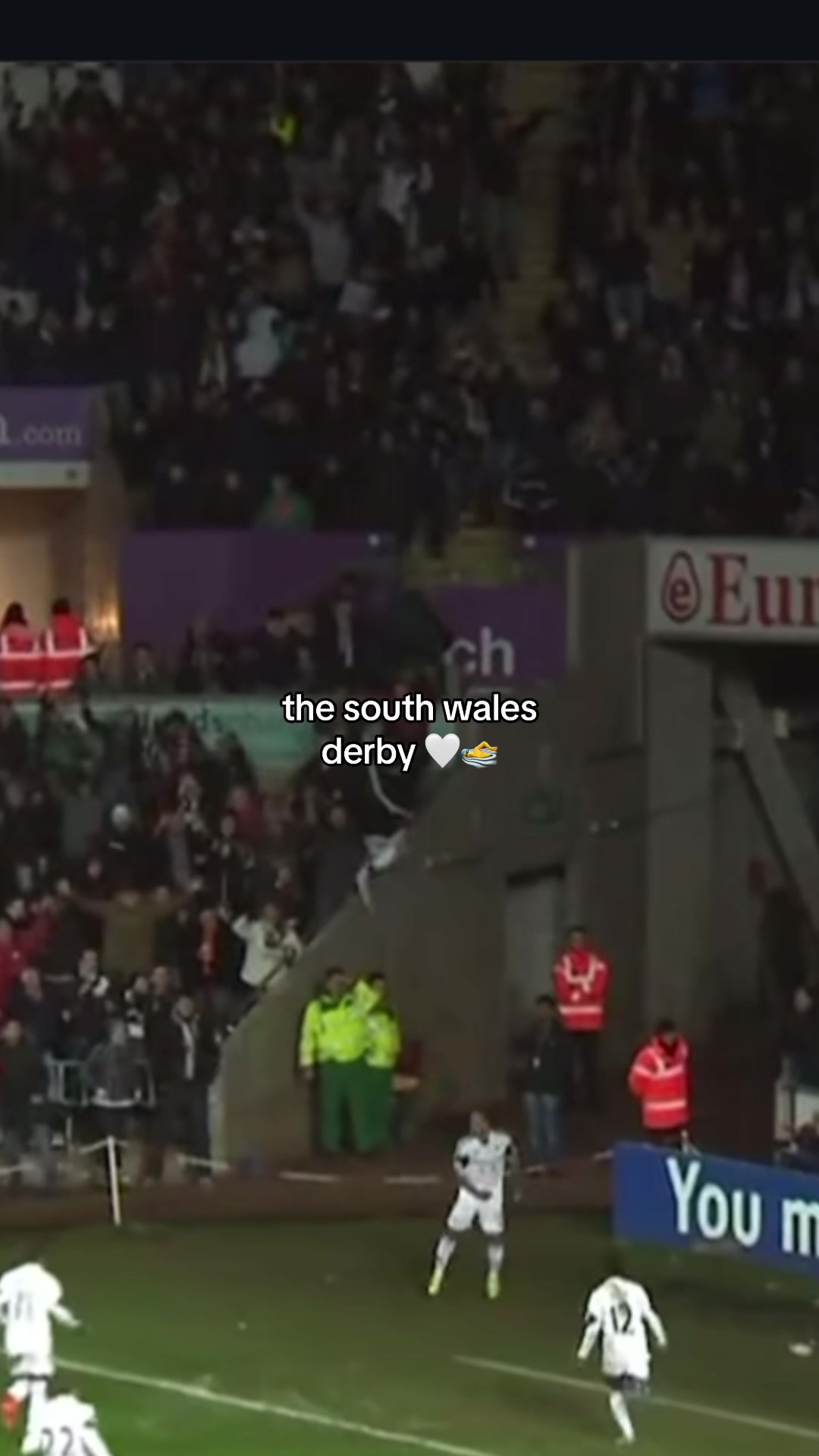 @Swansea City AFC 🦢