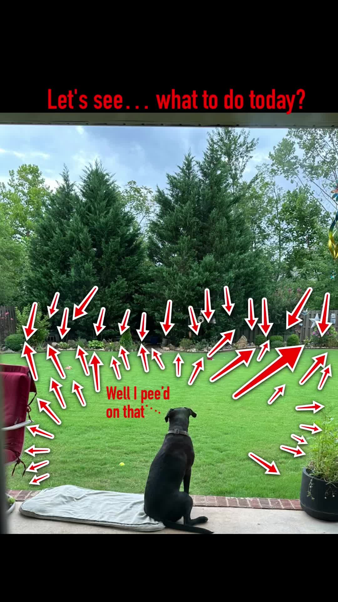 @Freedom Squirrel
