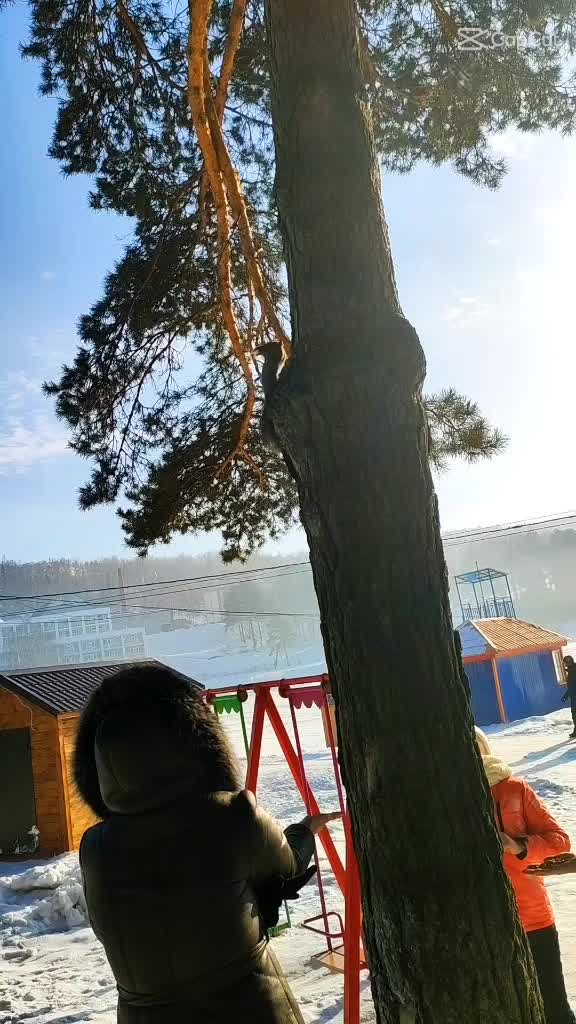 @Мария Москвина