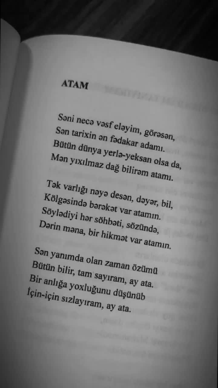 @Elvin İlqaroğlu