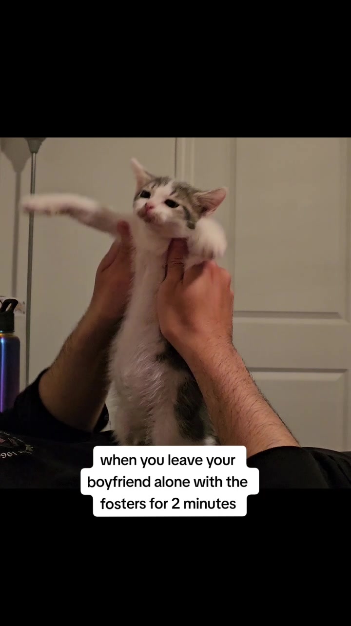 @🐾Mama Meow🐾