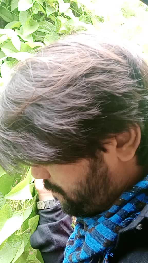 @Mohsin Shikalkar