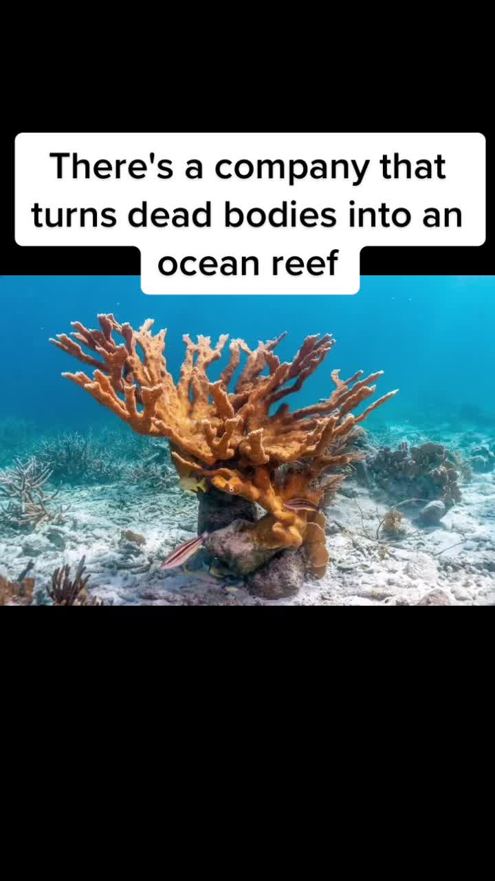 @Did you know that
