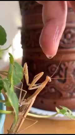 @user2626869241709