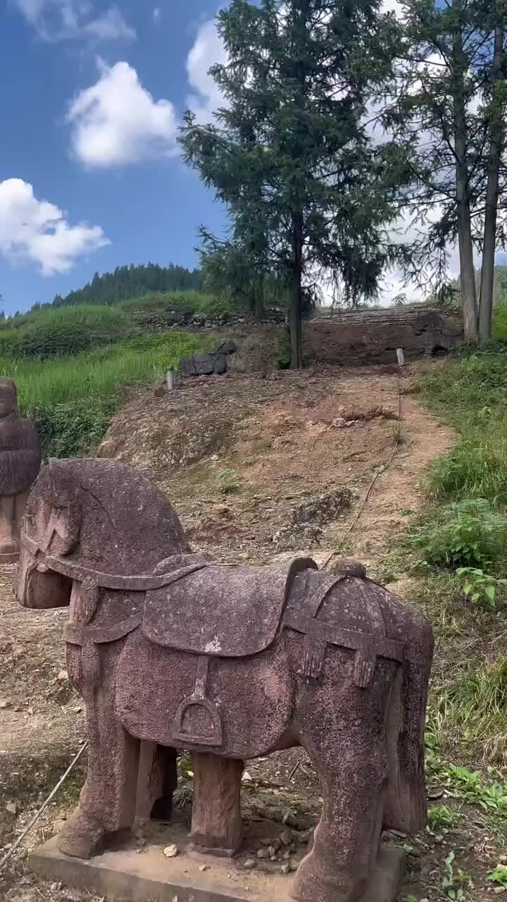 @逸明荒野探墓