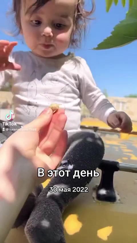 @Ayg&uuml;n