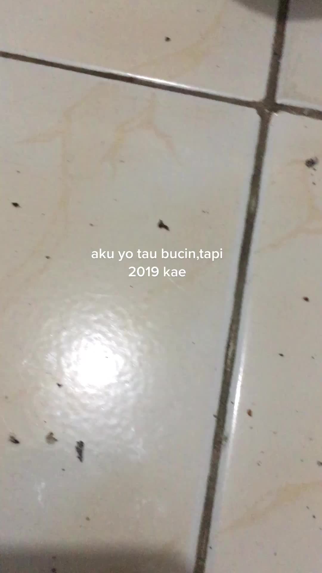 @Vrdyn