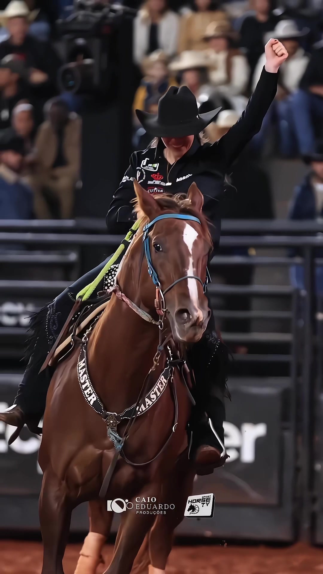 @Mastersaddles