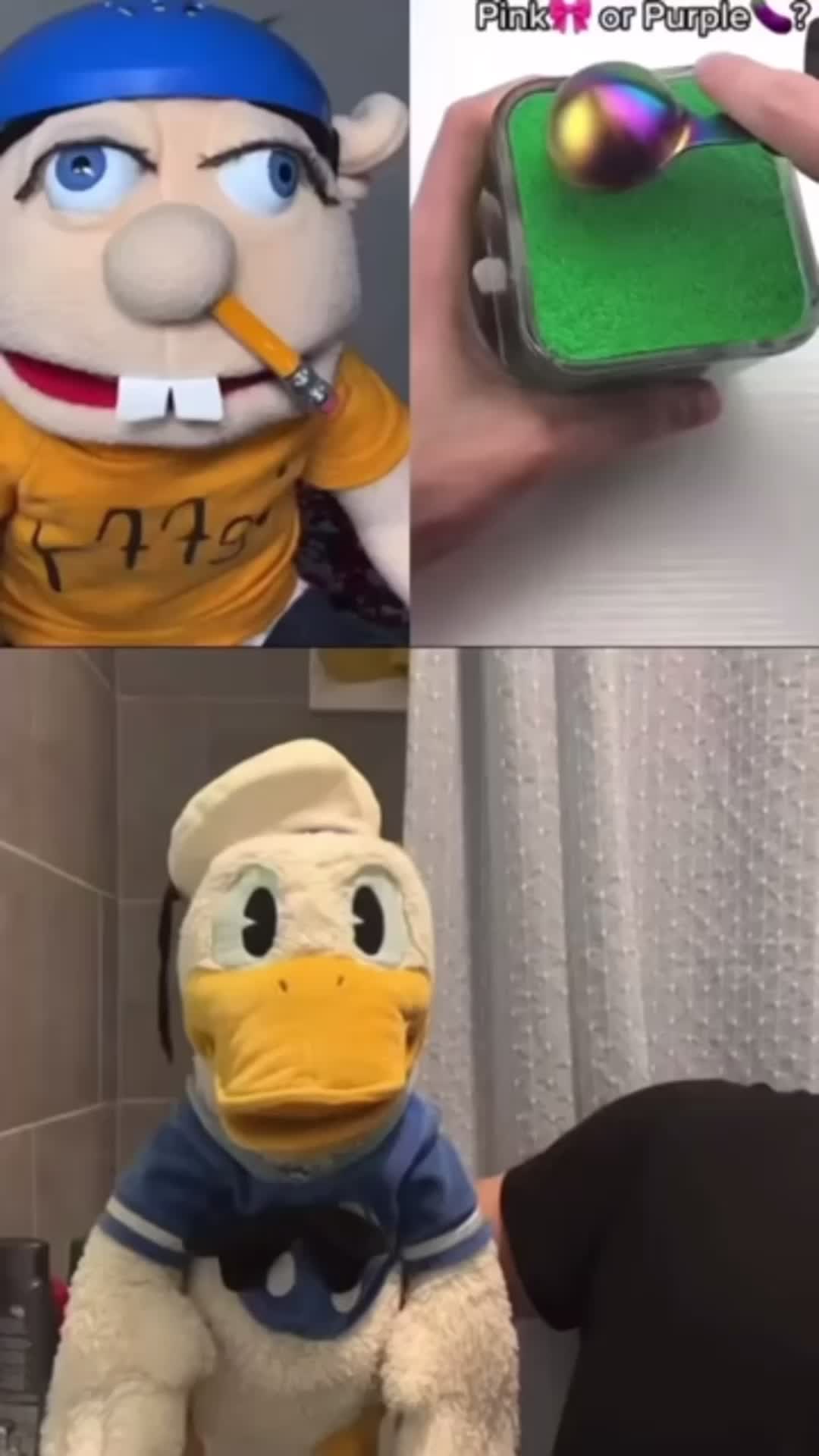 @DonaldDucc Archive ✅