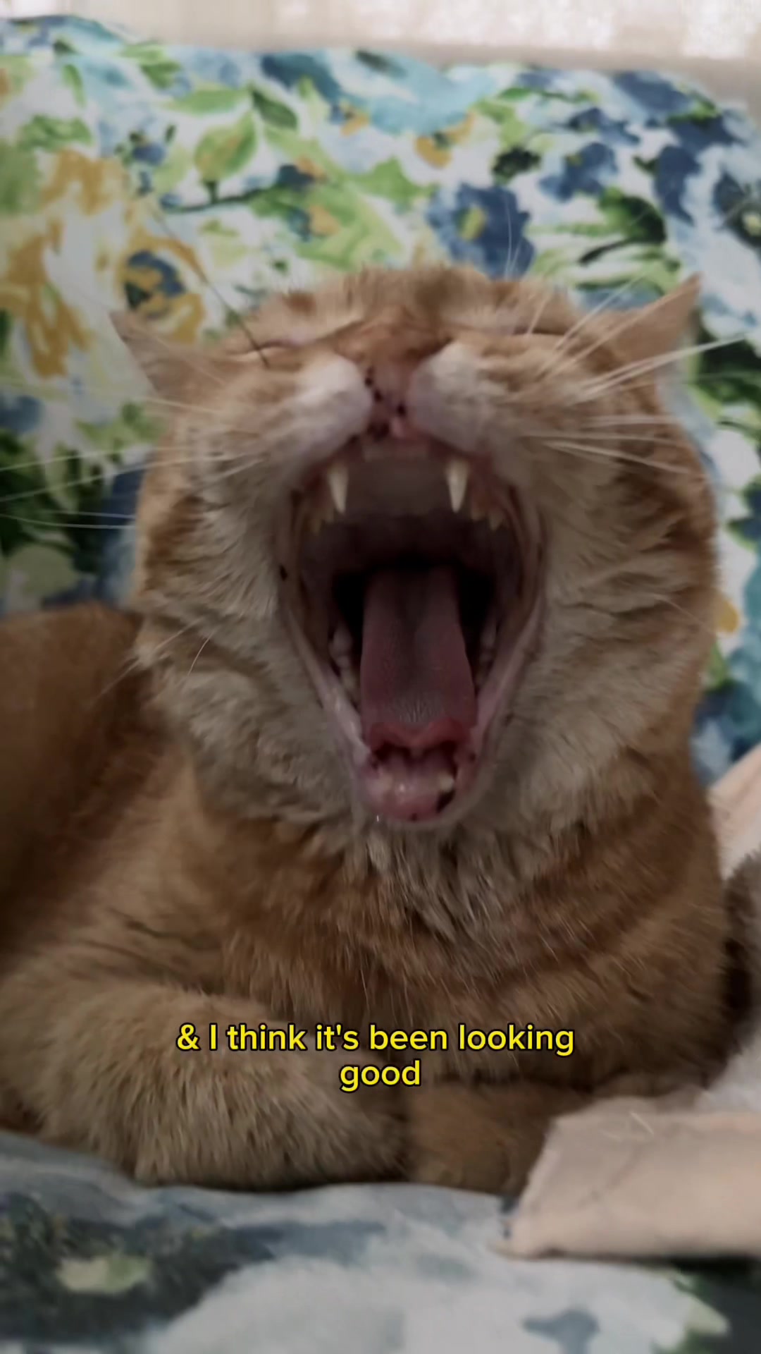 @Nanoos & Reem