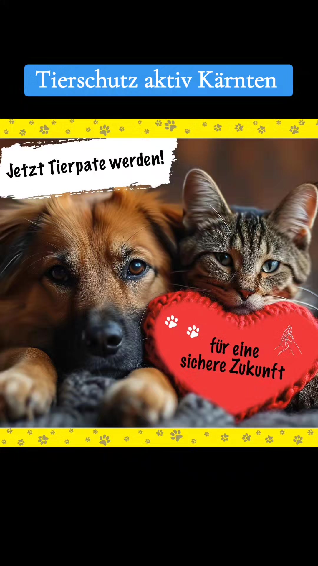 @tierschutz_aktivkaernten