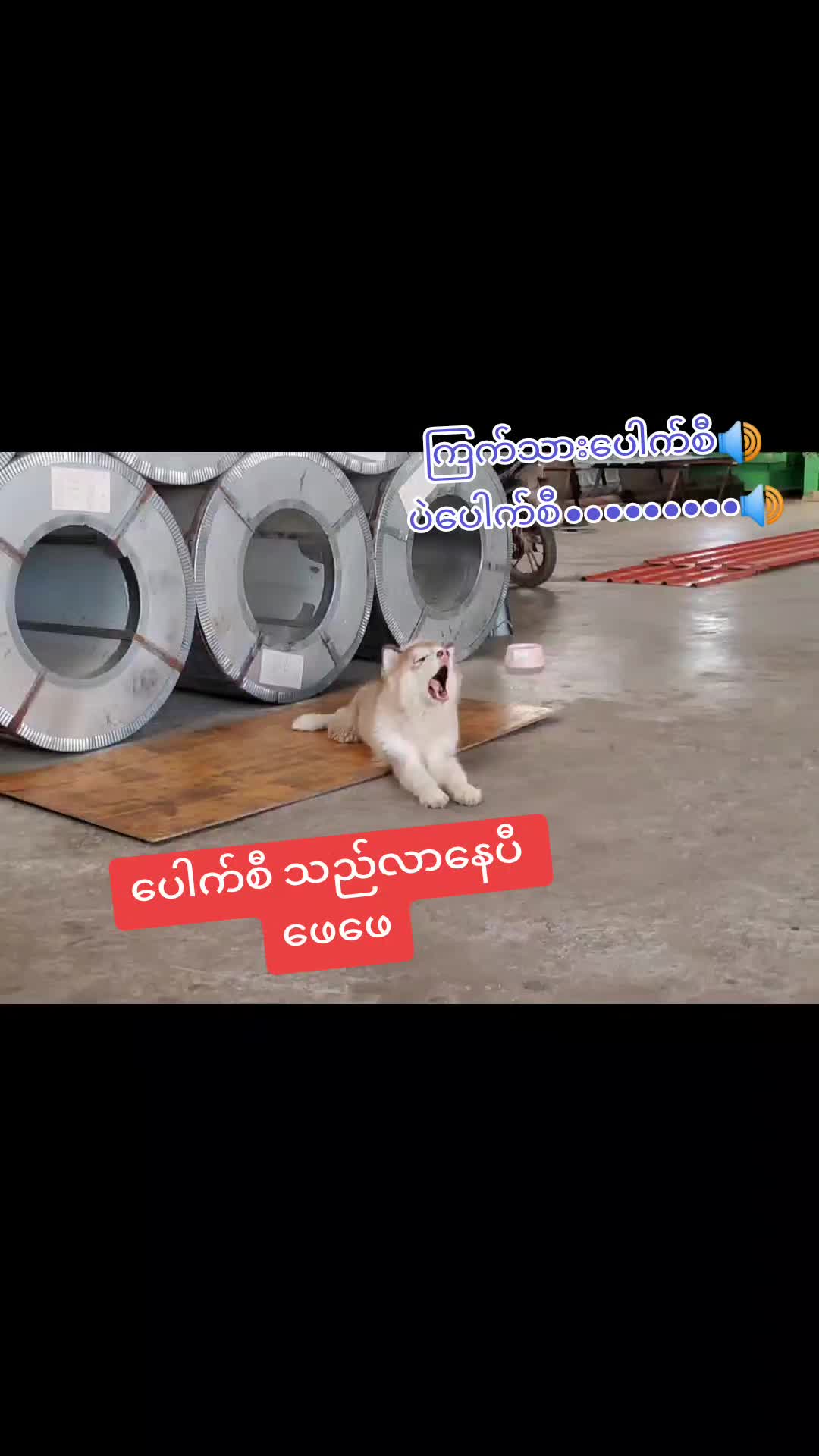 @Sai Seng Lain