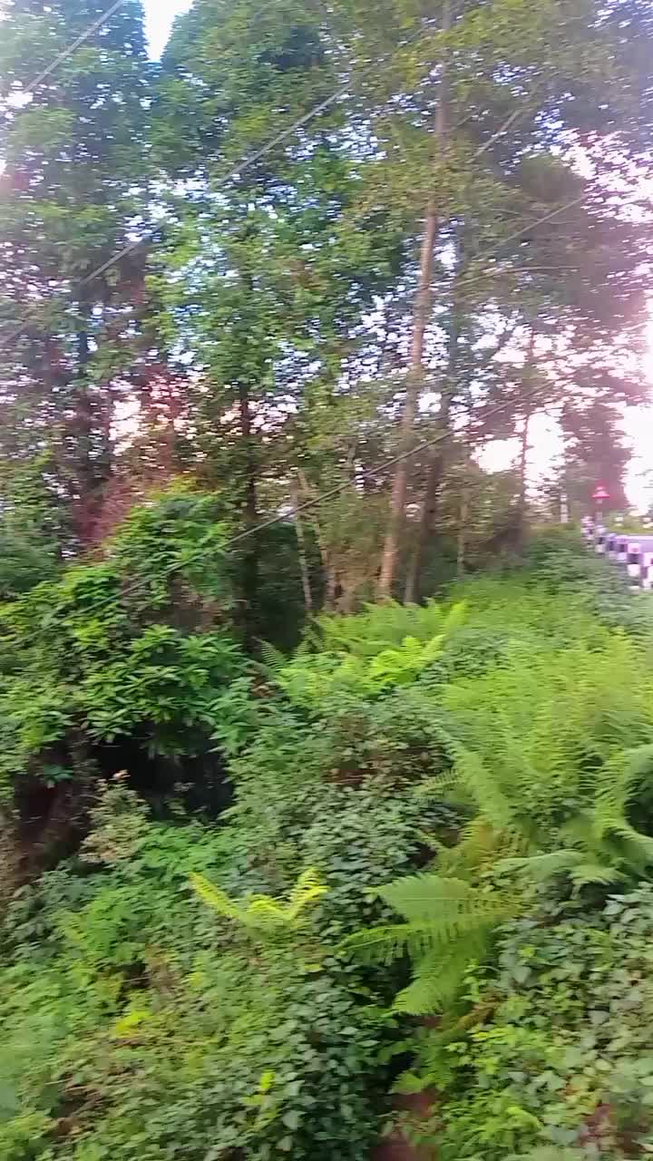 @😍कालु डन 🖤😘😍