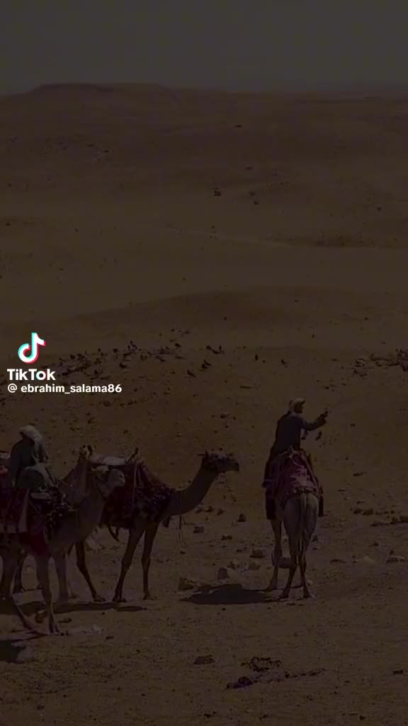 @بـــ🥇ودا//A B D O🐺