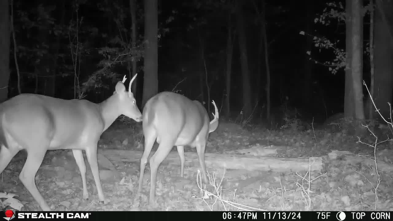 @outdoorjunkie13