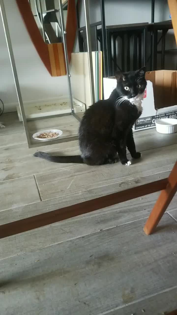 @MrPickles