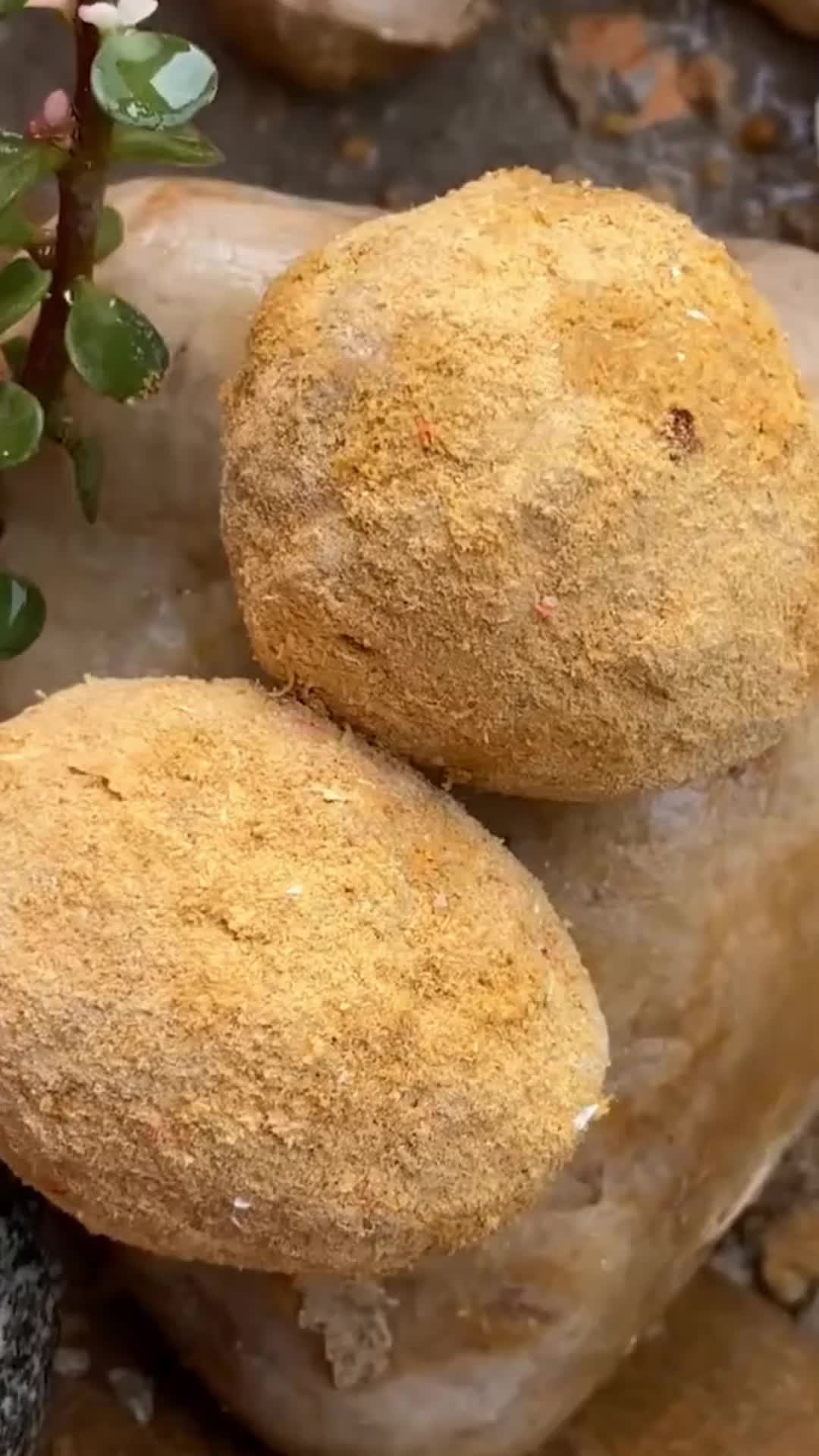 @bethgossi7
