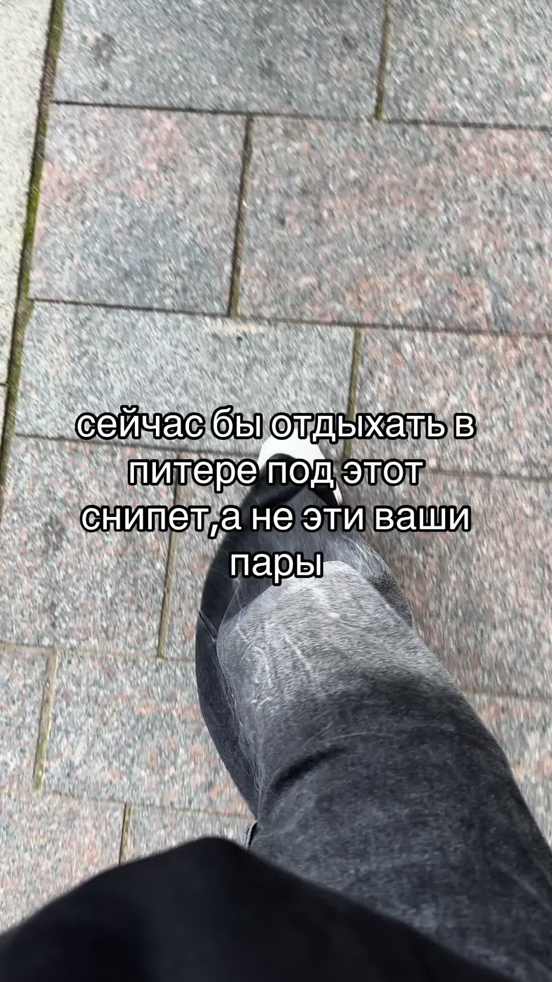 @denis_fungus