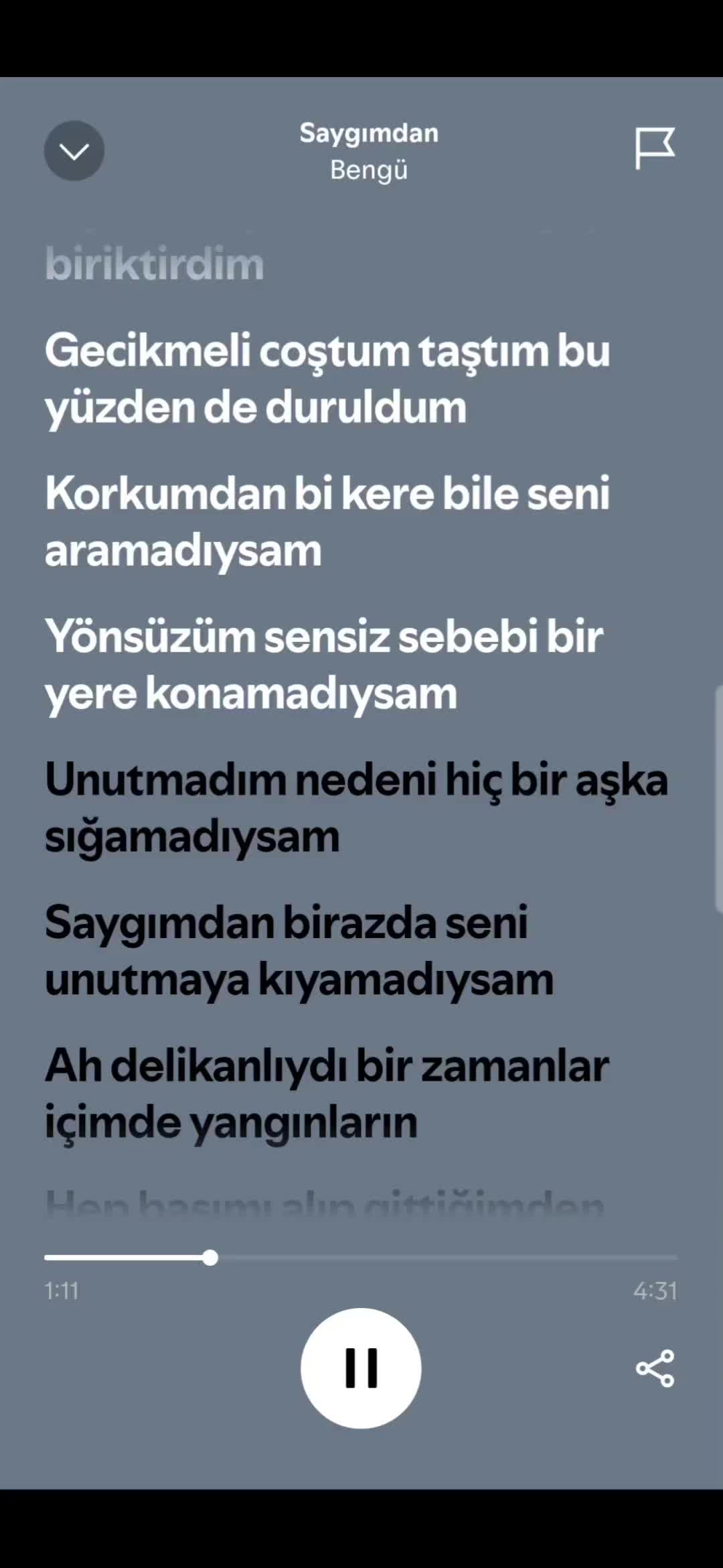 @spotifyy top