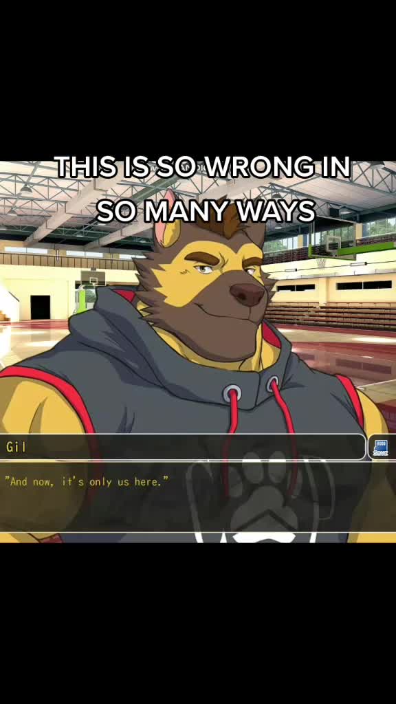 @spinddl