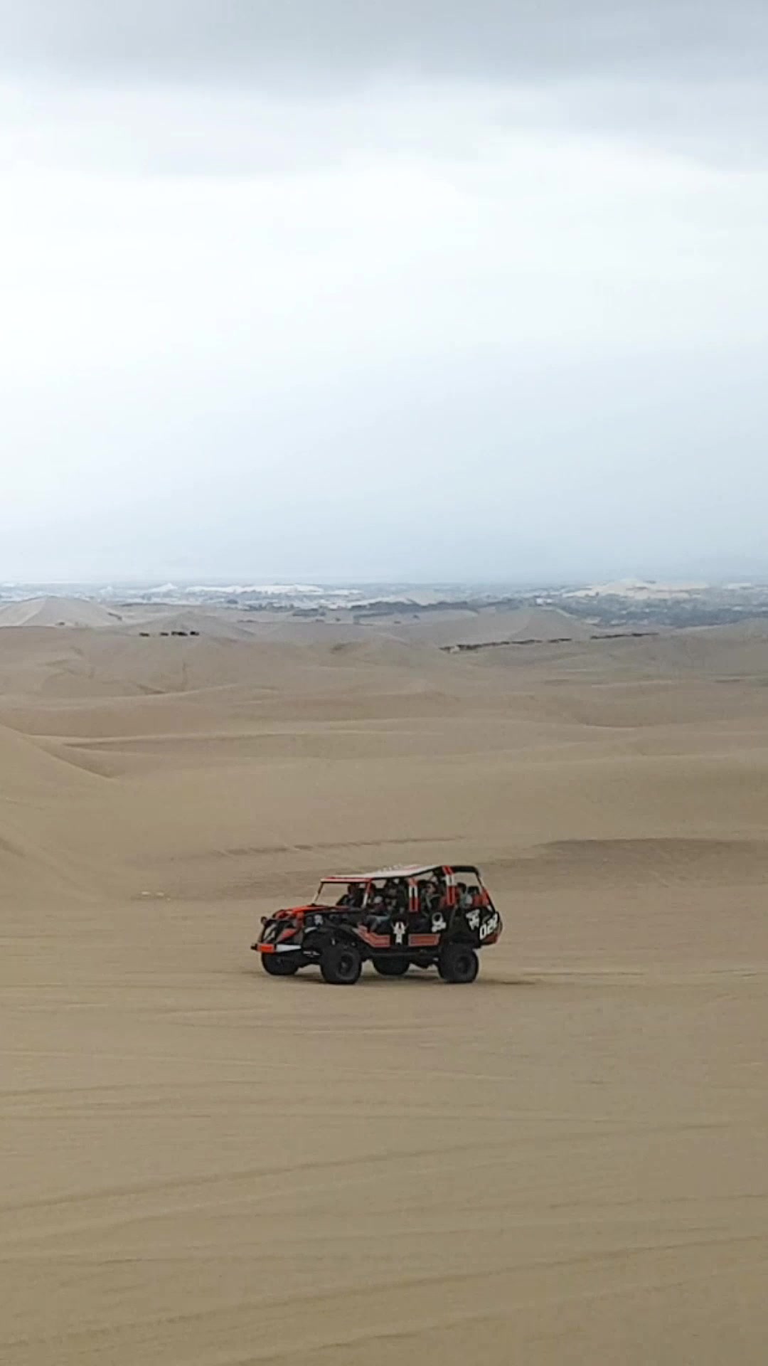 @TravelDino