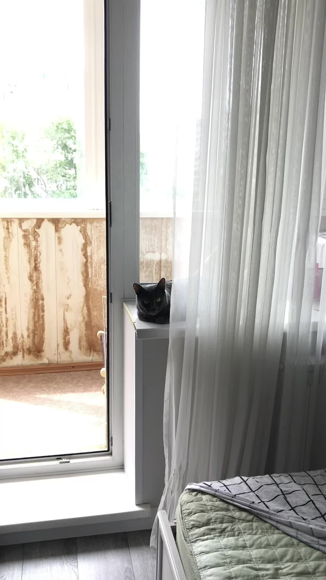 @Саня